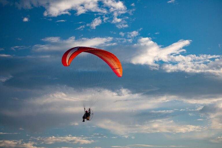 Analyzing the Relationship Between Cricket and Fashion