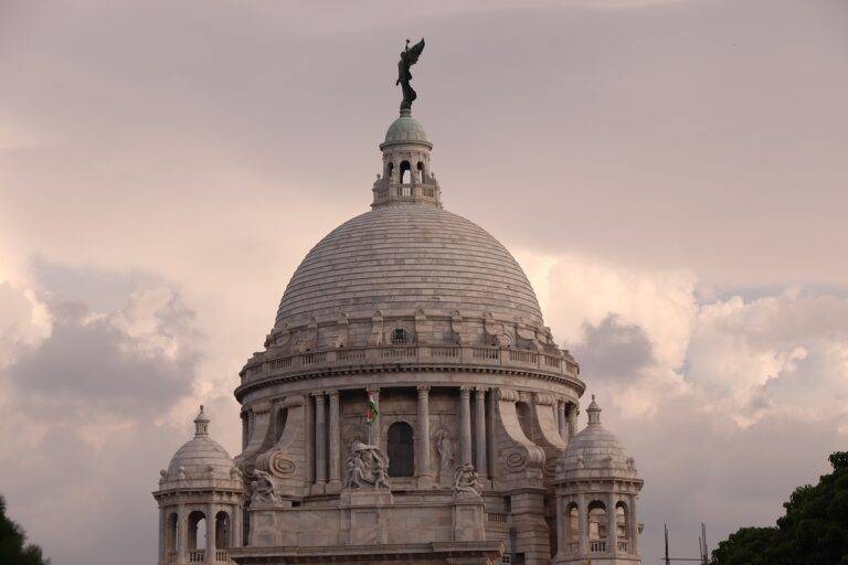 Understanding the Impact of Political Polling Errors